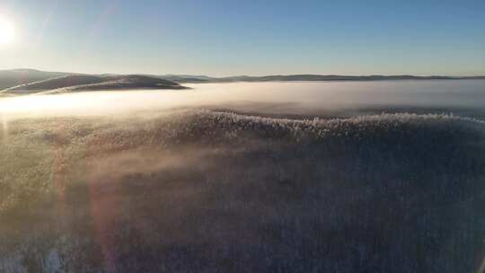 林海雪原云雾飘飘雾凇美景241122 (8)