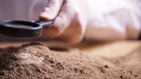 考古发掘人员用刷子和放大镜轻轻扫去沙泥视频素材模板下载