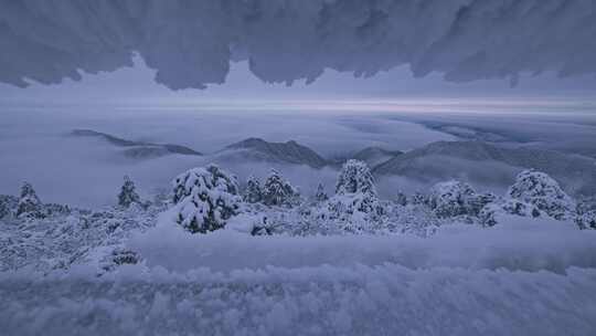 杭州牵牛岗群山森林雪景云海延时