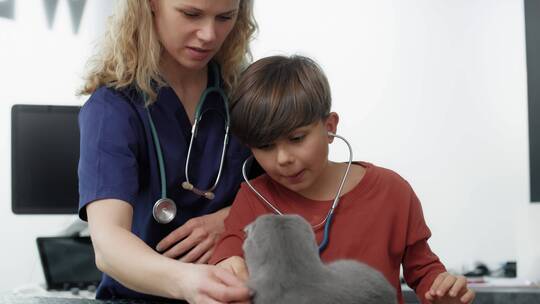医生教孩子听动物心跳