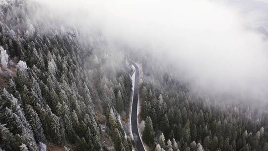 冬天森林雪景航拍