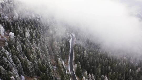 冬天森林雪景航拍视频素材模板下载