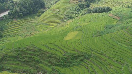 福建漳州南靖土楼