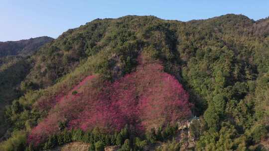 湖南郴州九龙江森林公园