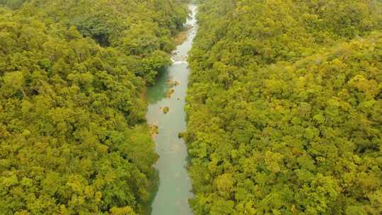 菲律宾保和雨林中的河流视频素材模板下载