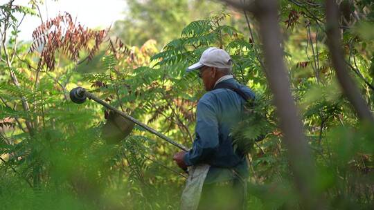 园林绿化工程-甩草机割草视频素材模板下载