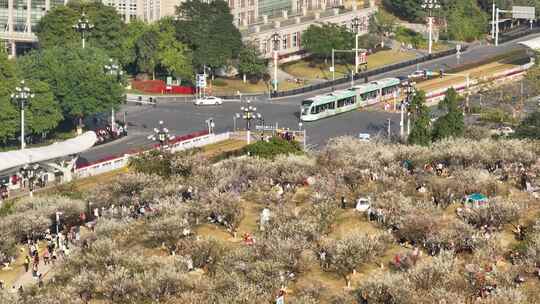 中国广东省广州市黄埔区市民广场梅花