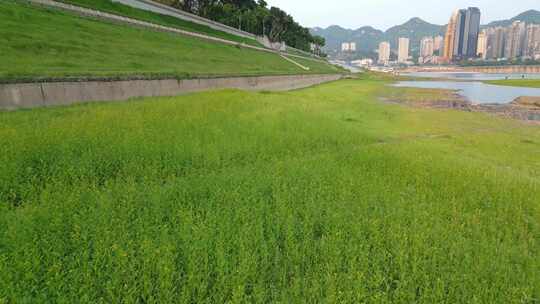 重庆傍晚江岸航拍