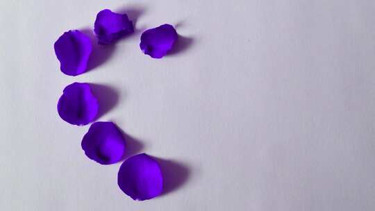 紫色花瓣心形图案定格摆拍