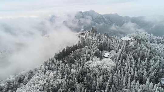 张家界 自然 雪松 武松 风光 冬天云雾