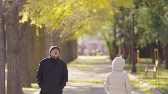 北京一叶知秋