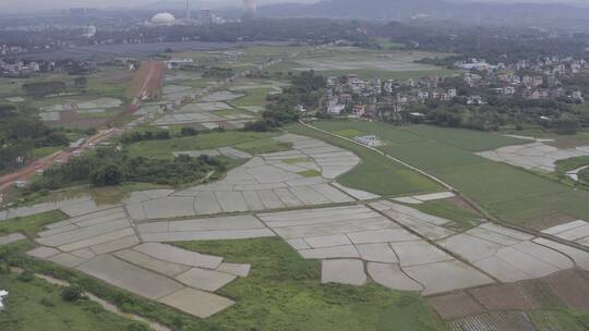 田园 田野 农田 农村 农地 耕种视频素材模板下载