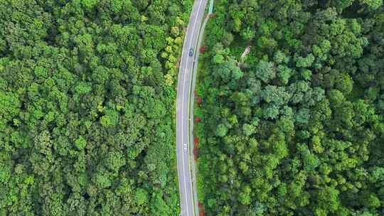 航拍汽车在森林中的公路穿行
