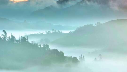 航拍云雾中的茶山
