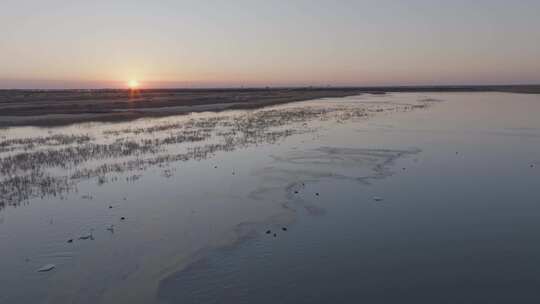 黄河入海口湿地日出