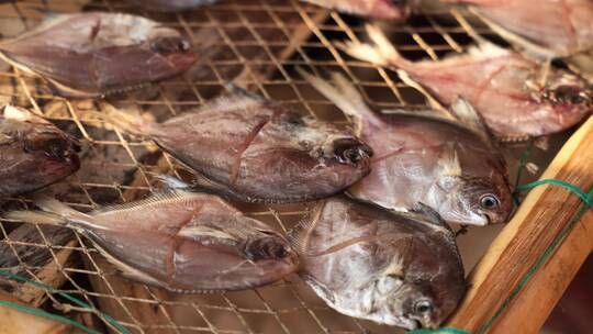 海鲜市场卖鱼干