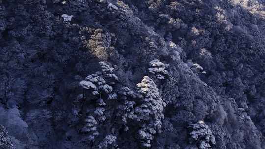 梵净山雪后云海仙境