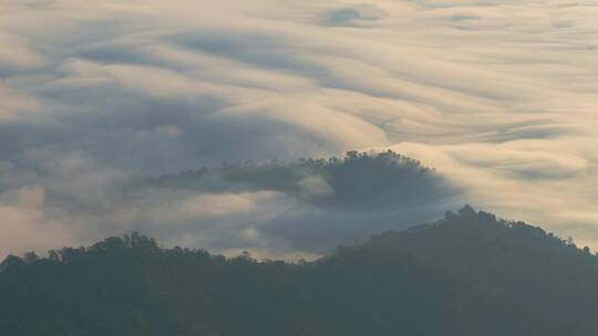 平流雾山林大雾流动
