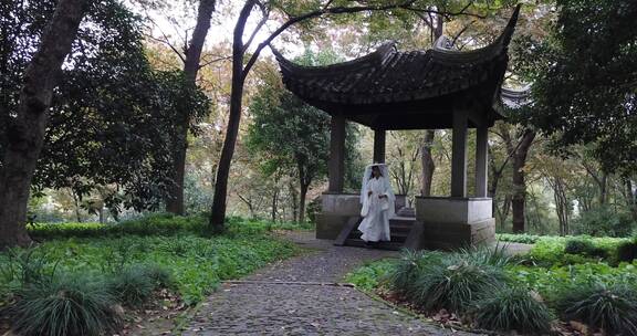 苏州 虎丘 航拍 风光 风景