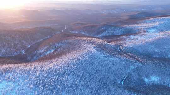 大兴安岭冬季黎明雪色山林