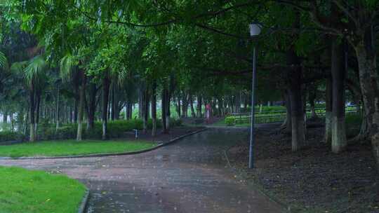 下雨雨天公园雨景