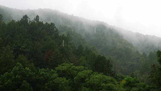 雨天山里森林云雾