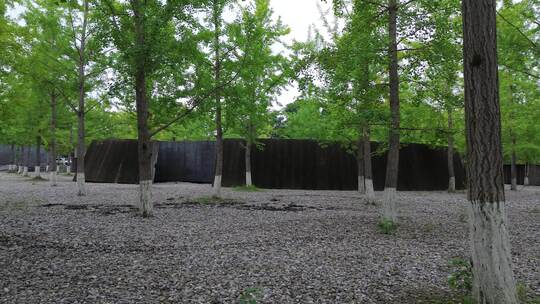 绵阳北川广场纪念碑附近水池与银杏林