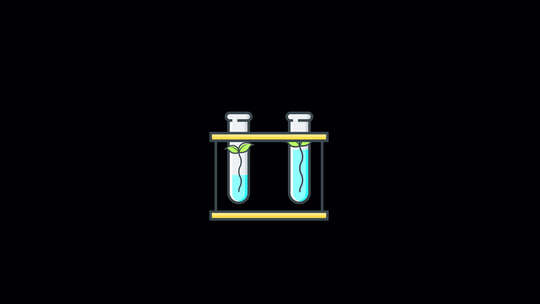动画植物学包括阿尔法