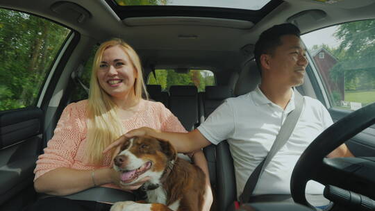 年轻的多民族夫妇在一个汽车里带着一条狗