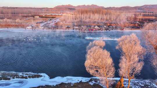 辽宁朝阳红村冬日晨雾笼罩下天鹅湾白天鹅