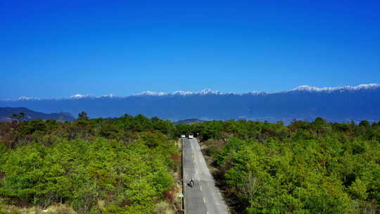 雪山下的火山森林公路