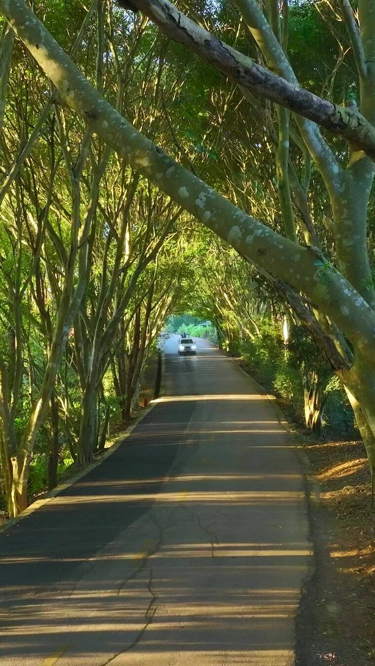 车辆行驶在漂亮的路上