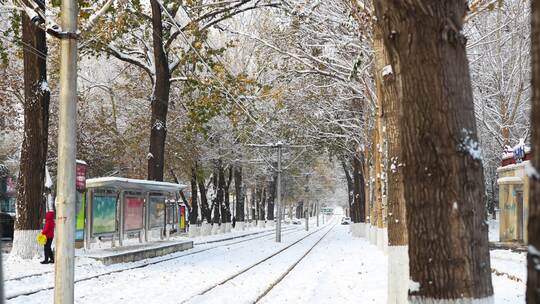 城市下雪道路车流街道雪景