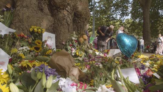 绿色公园花卉贡品和哀悼者的低角度拍摄