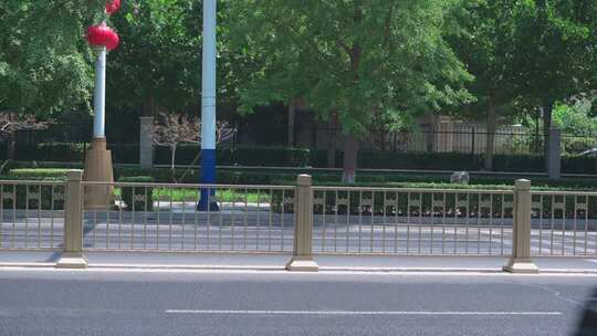 街道旁绿植护栏与红灯笼景观