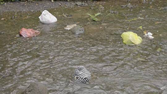 巴厘岛溪流中流水视频素材模板下载