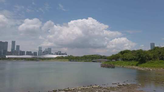 深圳市南山区深圳湾人才公园观景栈道4k