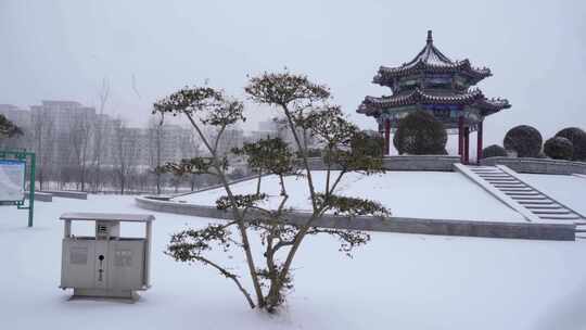 4k雪中垃圾桶旁边的树