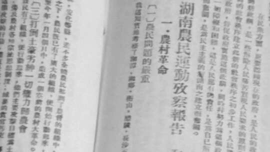 湖南农民运动考察报告