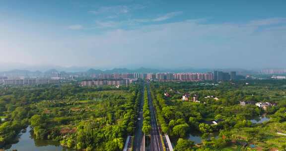 杭州余杭区五常湿地夏季风光