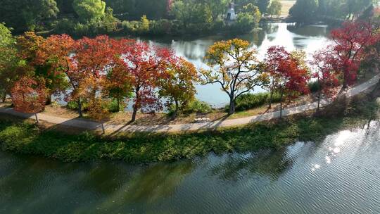 航拍南京中山陵前湖公园秋季景色