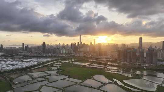 从香港拍深圳天际线