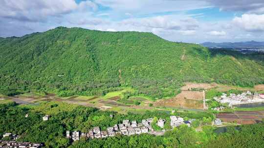 广东江门开平马降龙碉楼景区