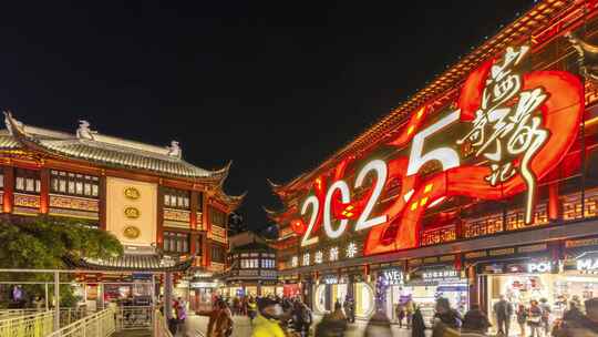 上海豫园2025年灯会蛇年春节新年延时