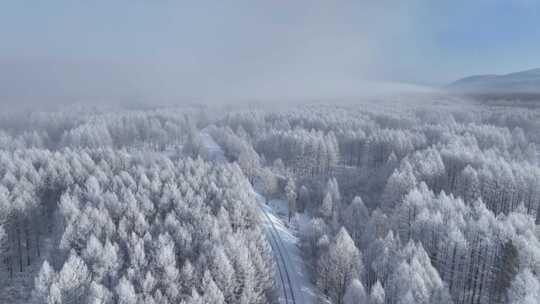 航拍林海雪原雪林和山路