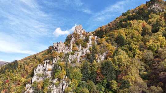 秋日山林与岩石景观