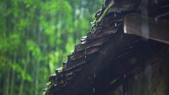 雨中屋檐下的竹林景色