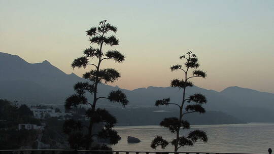 平静的海湾景观