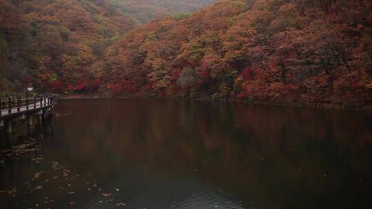 秋季景色