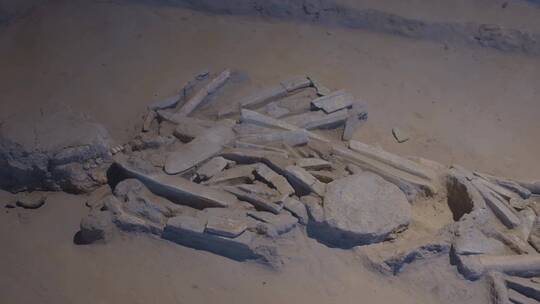 人形骸骨化石视频素材模板下载